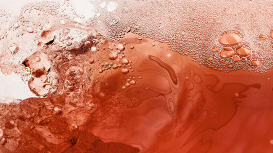 Cuvee Rose Laurent Perrier detail bulles robe