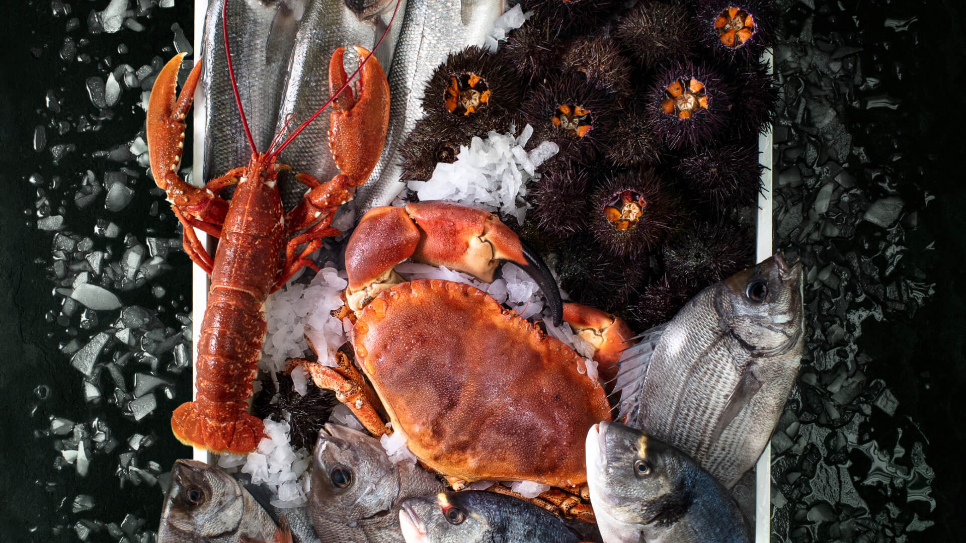 Créer des accords mets & champagnes cover