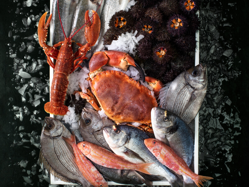 Créer des accords mets & champagnes vignette