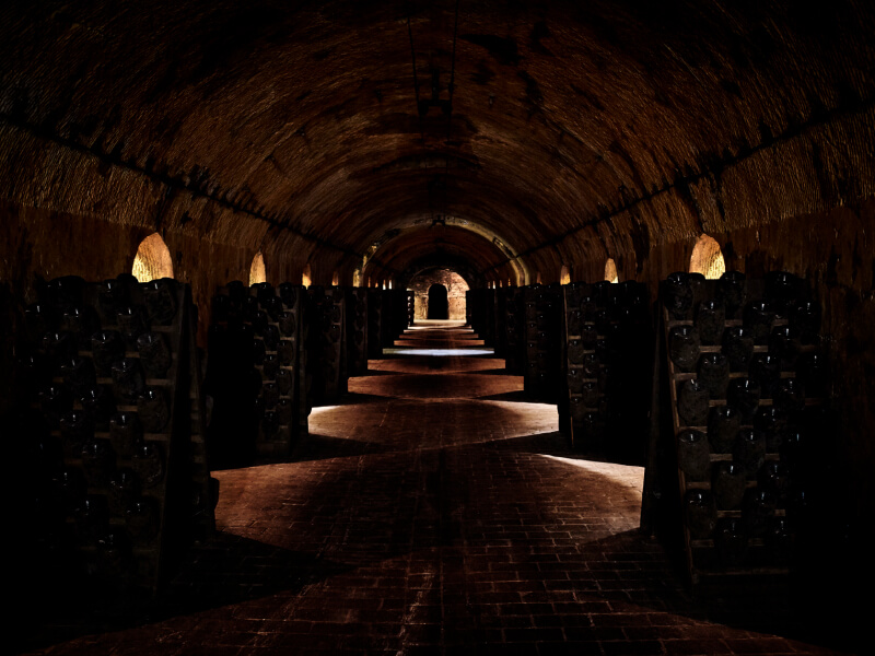 Explorer le savoir-faire de la Champagne vignette