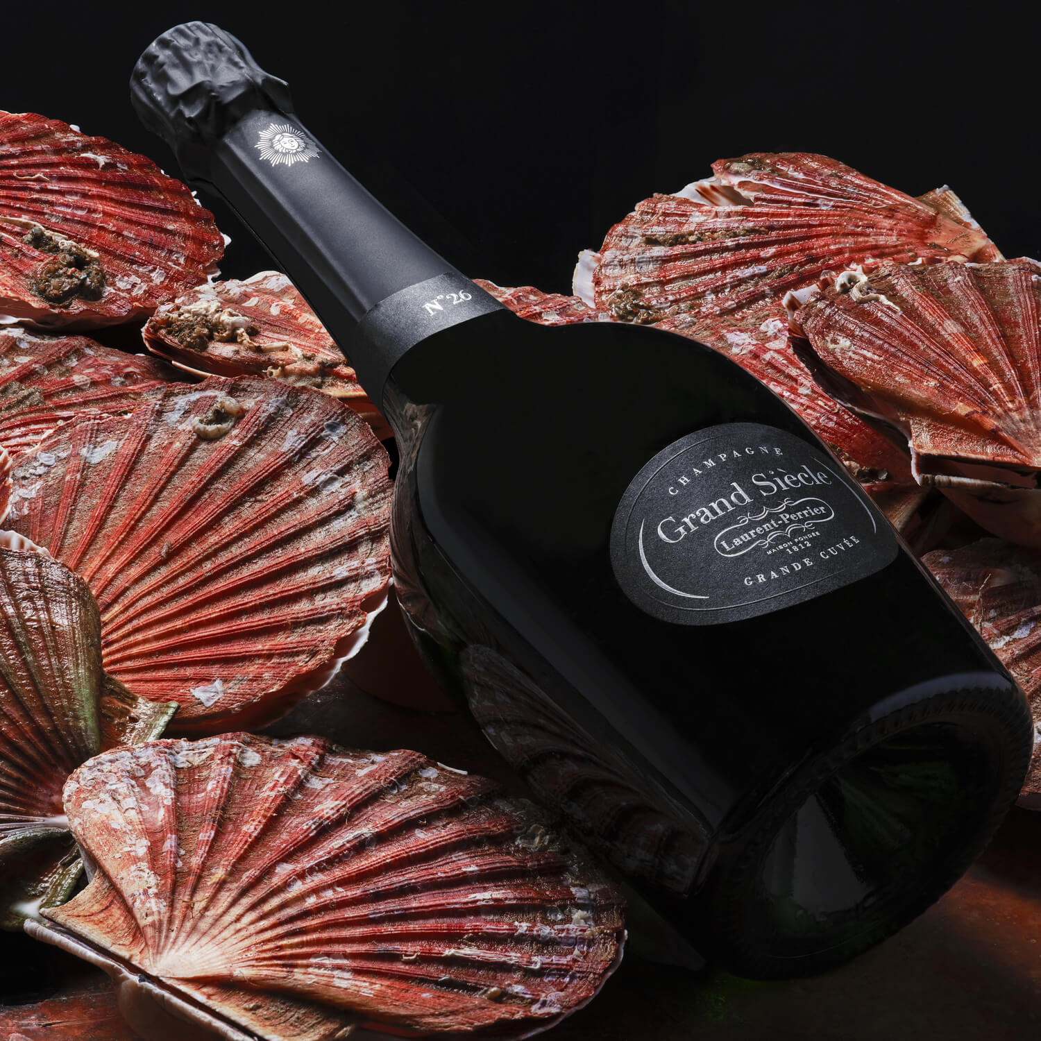 Grand siècle Saint Jacques coquille