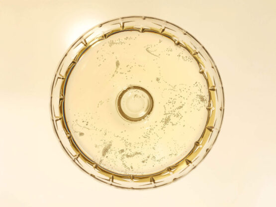 ¿Qué es un Champán de Lujo?