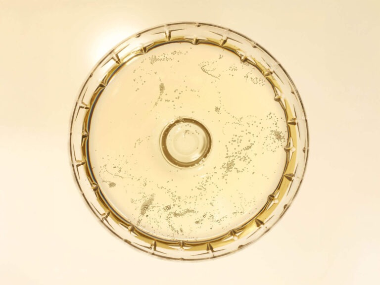 What Defines a Luxury Champagne?