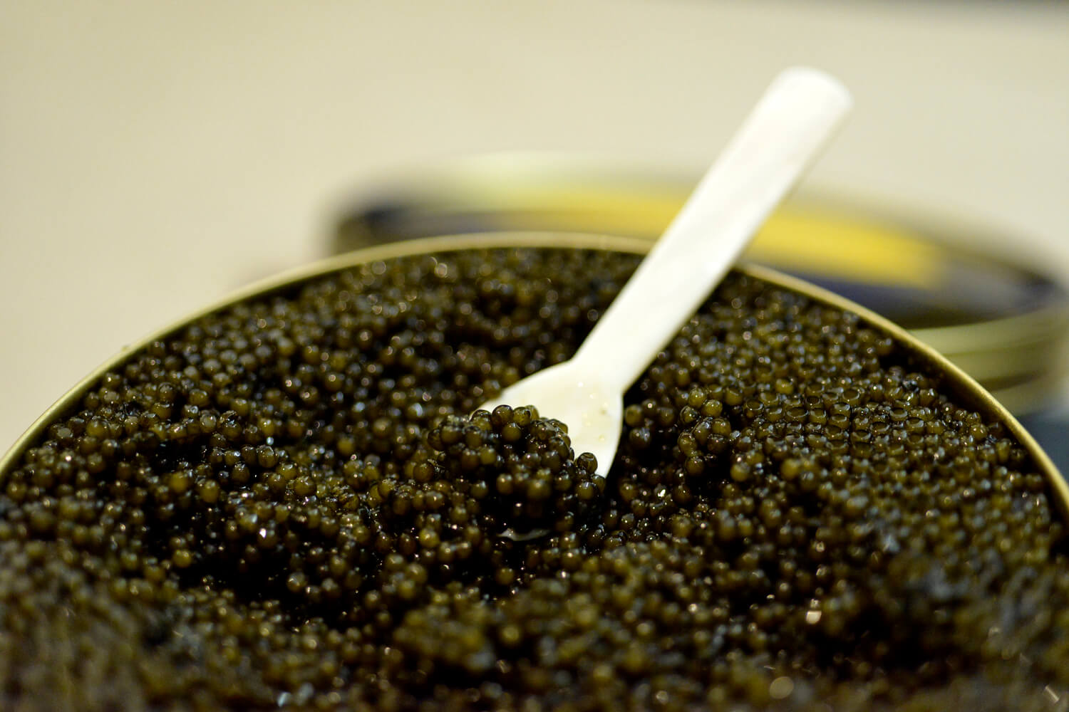 boite caviar cuillere