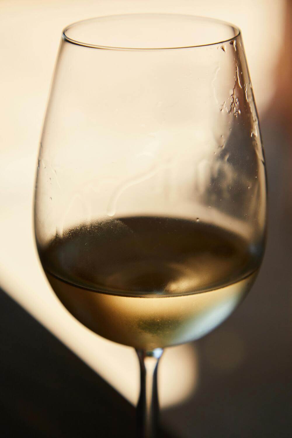 glass of white wine